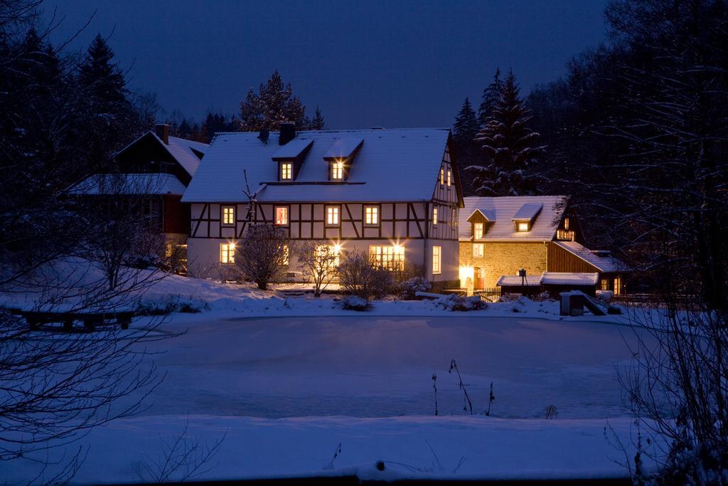 Romantik Hotel Landhaus Baerenmuehle Frankenau المظهر الخارجي الصورة