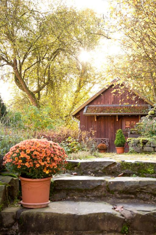 Romantik Hotel Landhaus Baerenmuehle Frankenau المظهر الخارجي الصورة