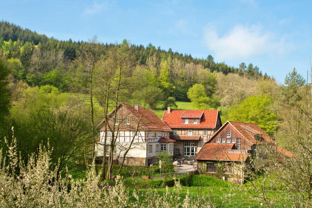 Romantik Hotel Landhaus Baerenmuehle Frankenau المظهر الخارجي الصورة